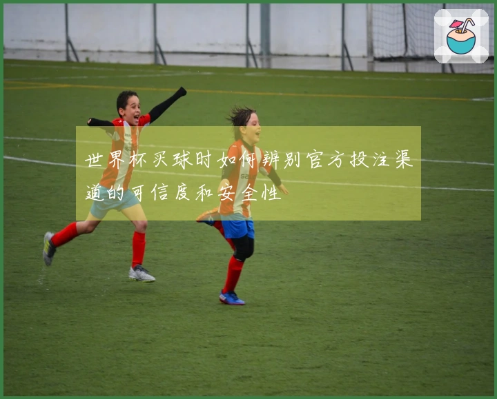 世界杯买球时如何辨别官方投注渠道的可信度和安全性