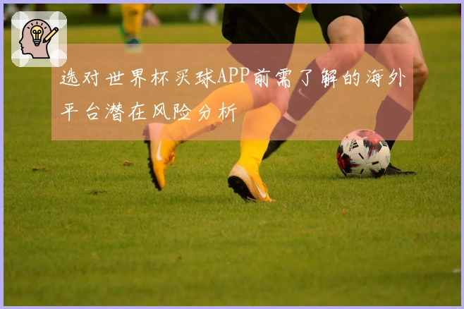 选对世界杯买球APP前需了解的海外平台潜在风险分析