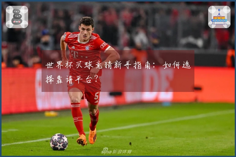 世界杯买球竞猜新手指南：如何选择靠谱平台？