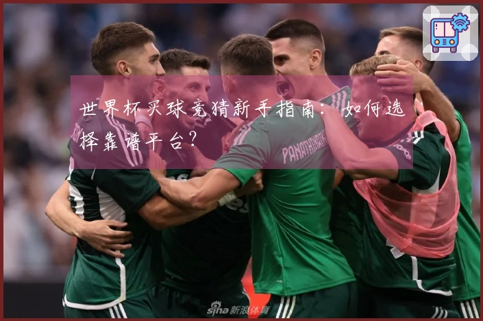 世界杯买球竞猜新手指南：如何选择靠谱平台？