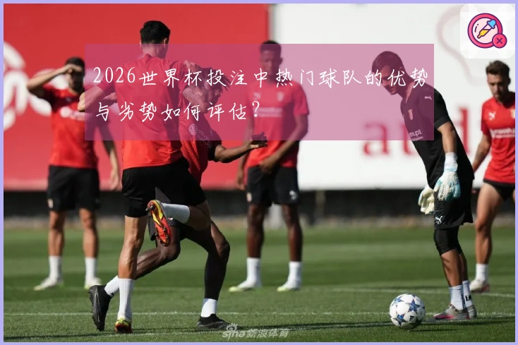2026世界杯投注中热门球队的优势与劣势如何评估？