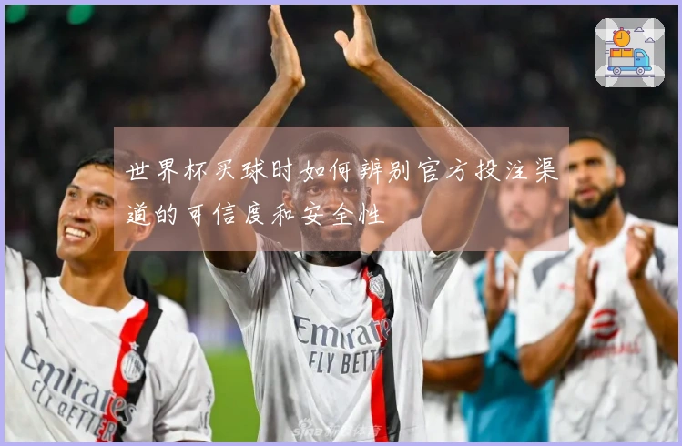 世界杯买球时如何辨别官方投注渠道的可信度和安全性