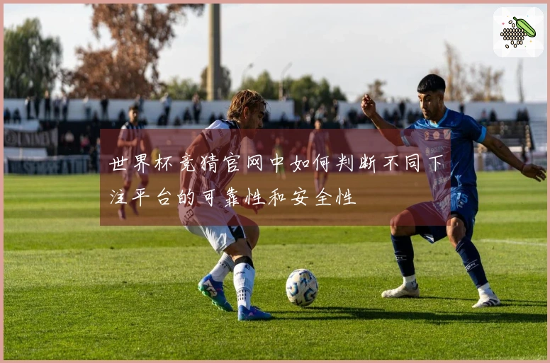 世界杯竞猜官网中如何判断不同下注平台的可靠性和安全性